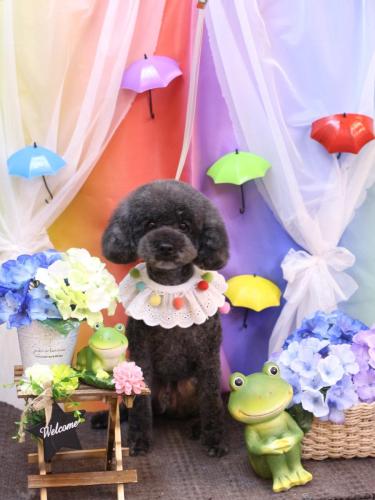 20230602ボーロくん